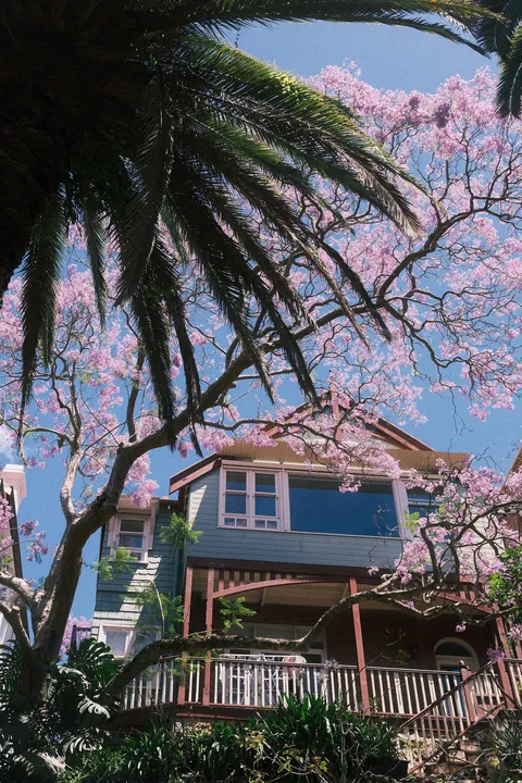 Our first week in Sydney