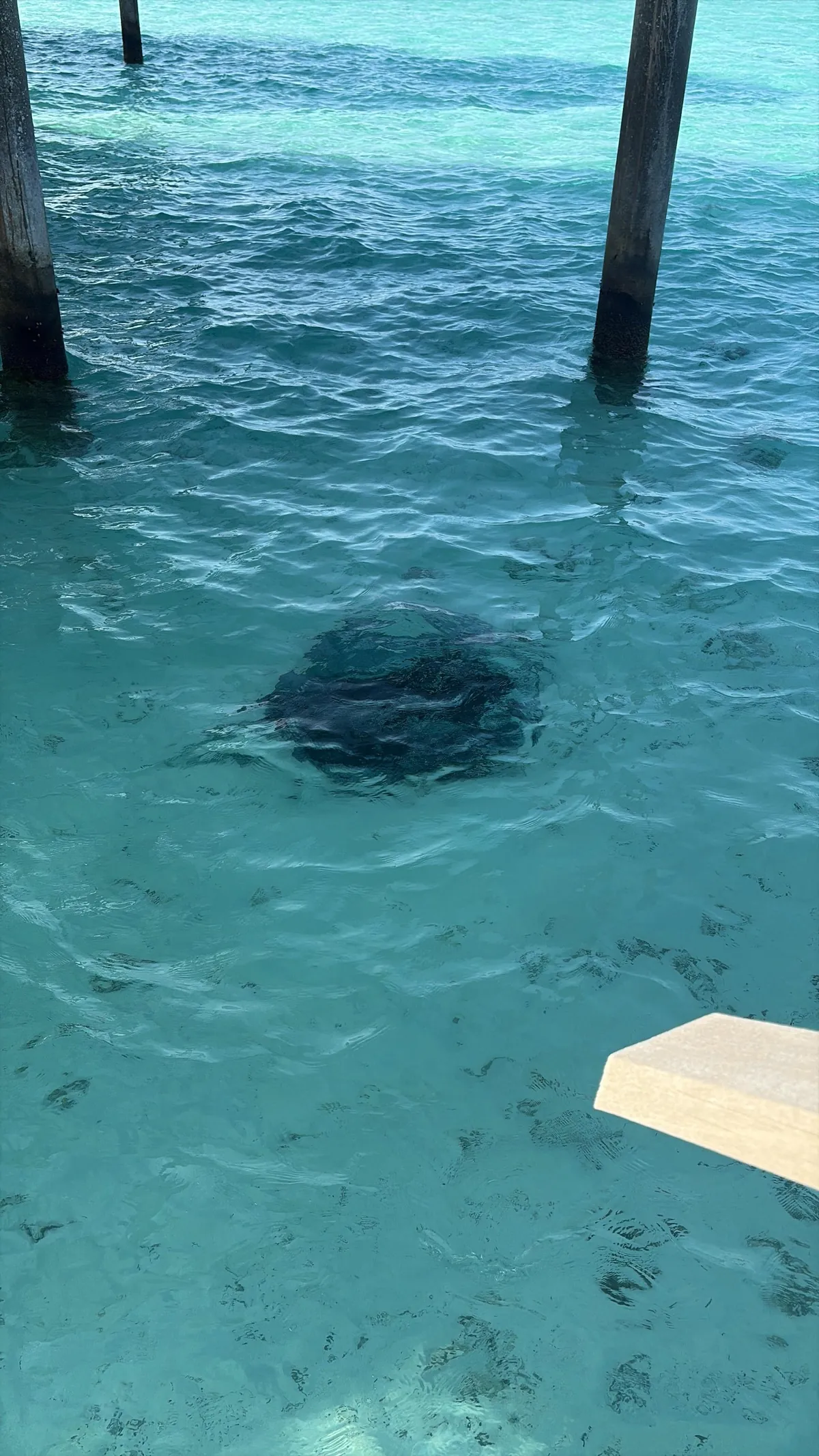 The Maldives is a paradise on earth