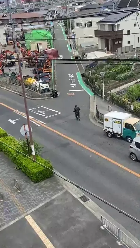 Delivery driver in Japan helps person in a wheelchair.