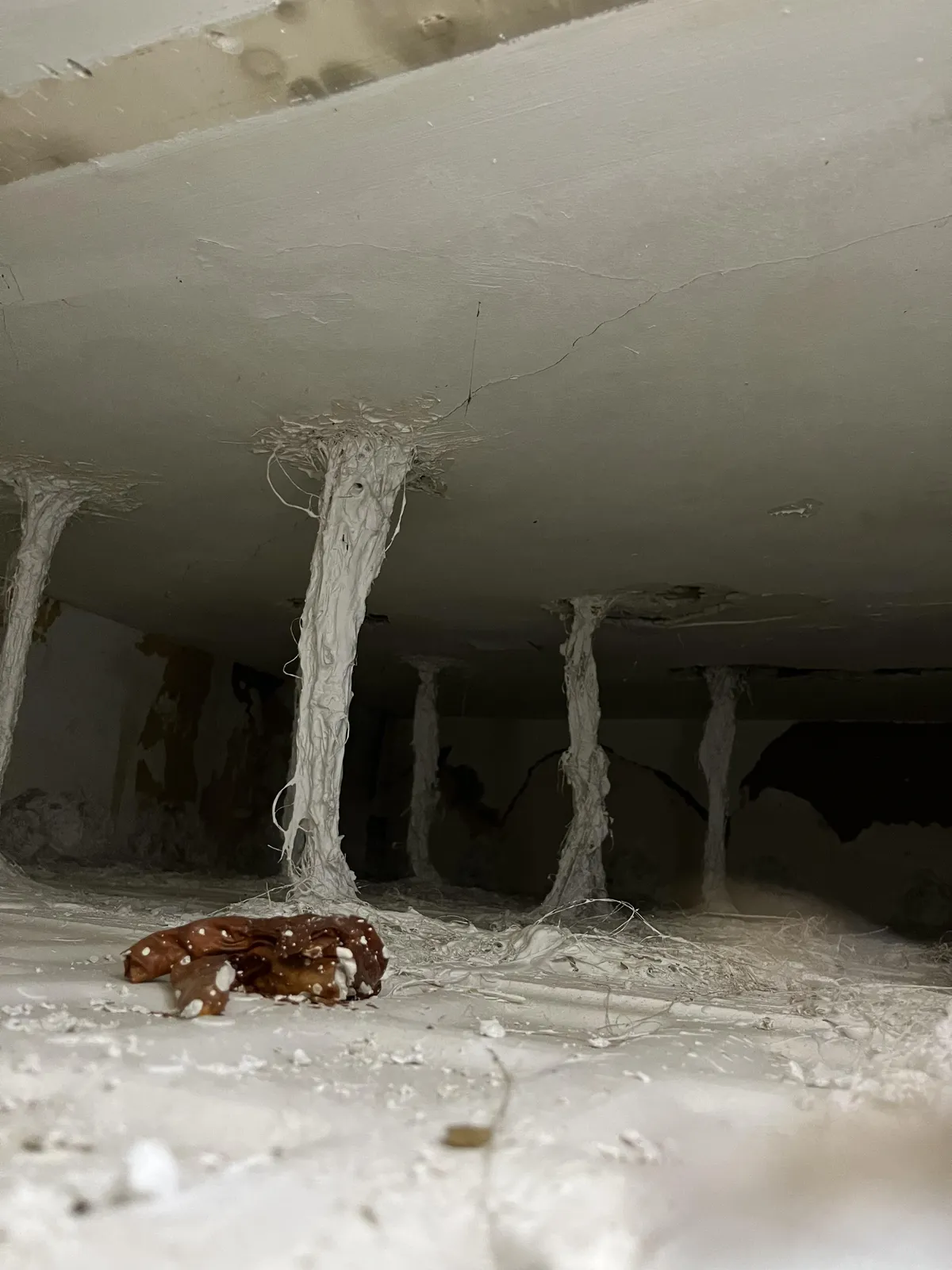 Peek through a hole in the ceiling to see this horror movie setting 