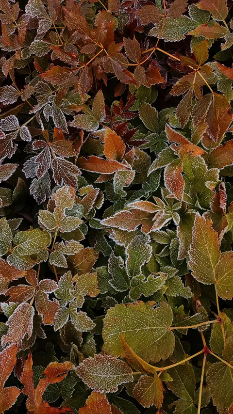 Nature is magnificent