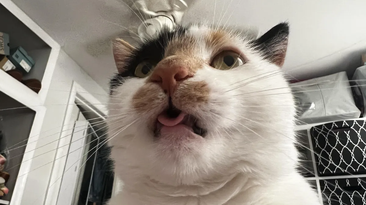 She is beauty, she is grace