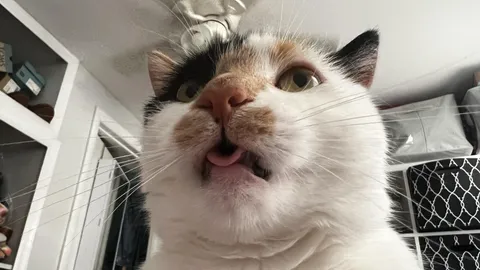 She is beauty, she is grace