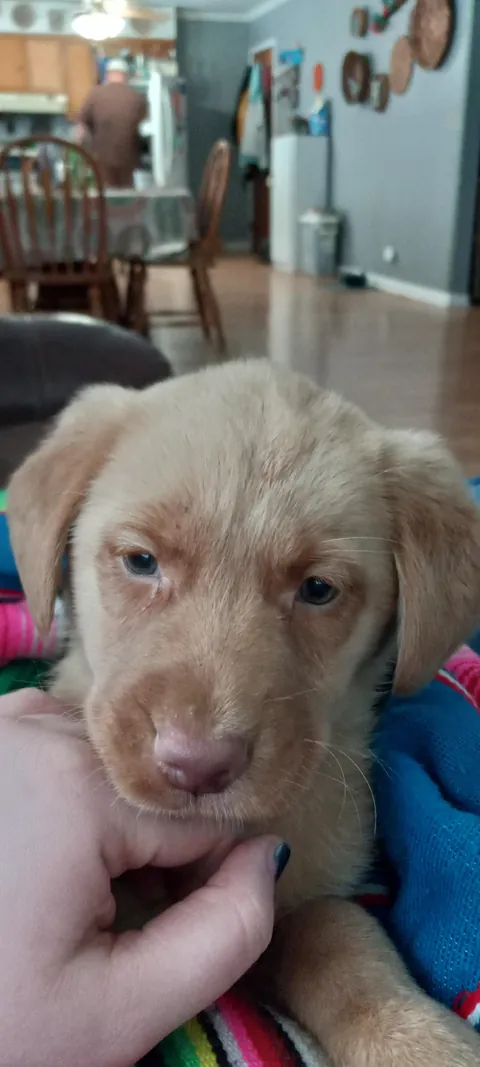 Oh my goodness how the time flys