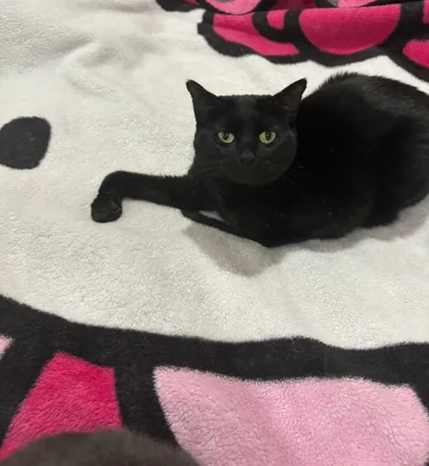 She’s just chilling