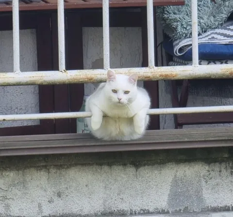 My neighbour is always watching me. What should i do?