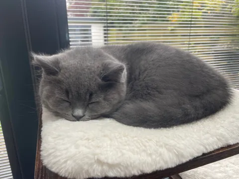 It’s his 1st bday. Congratulate him