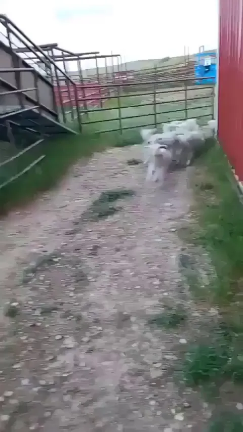 They just wanted to check on him.