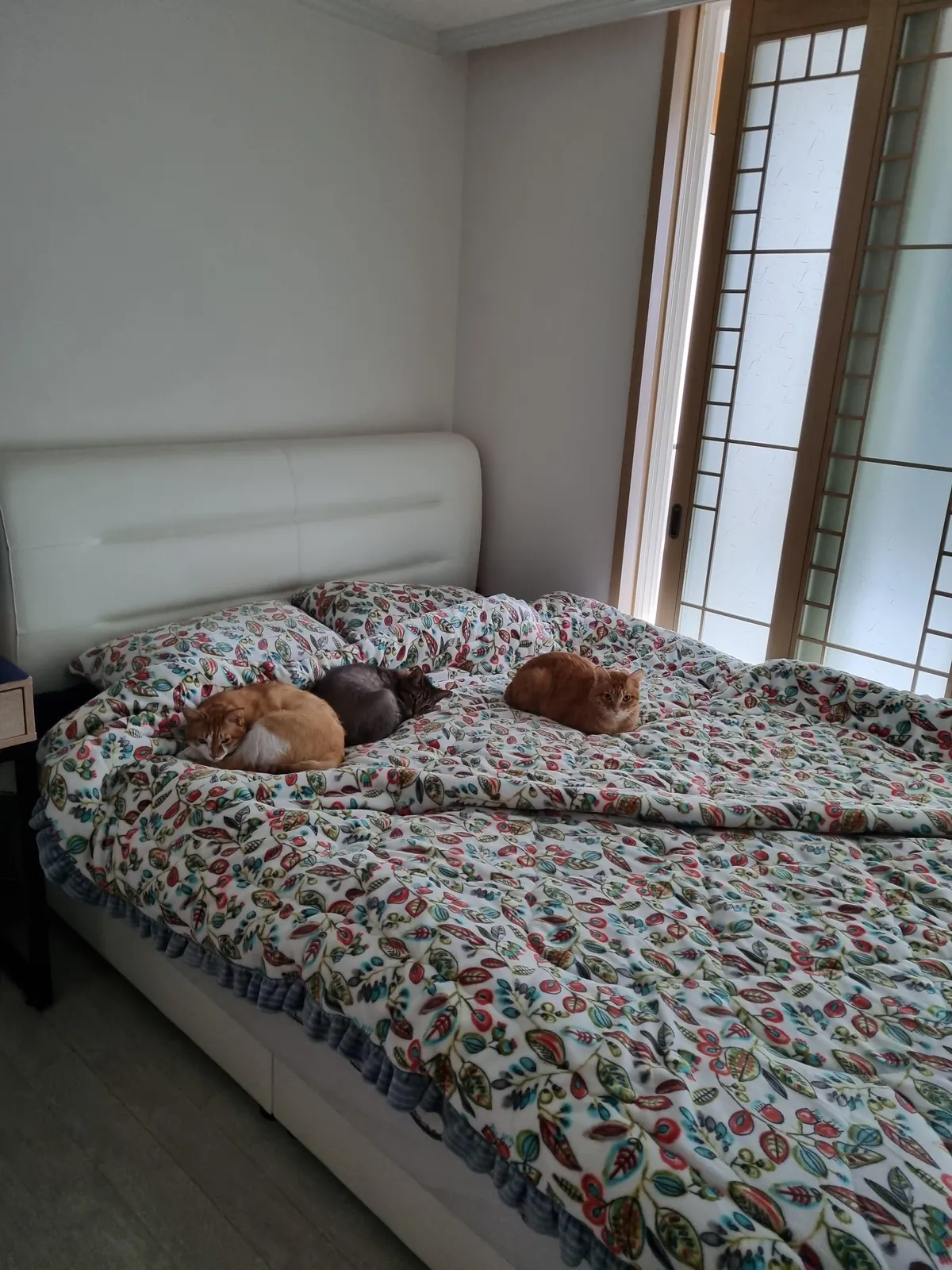 There's no room for me to lie down