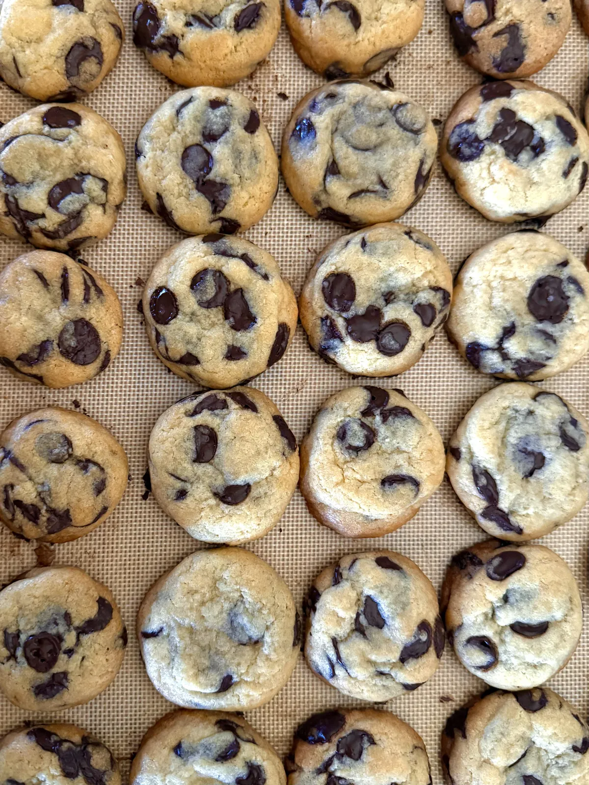 [homemade] chocolate chip cookies!