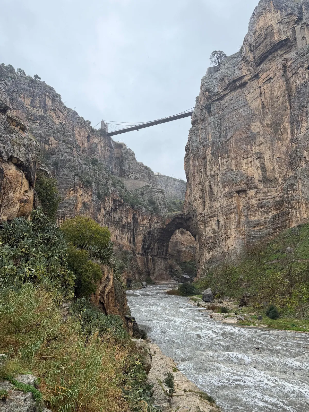 Amazing few days in Algeria