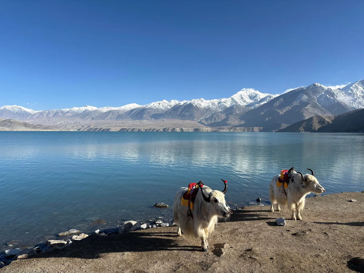 10 days in Xinjiang (Western China)