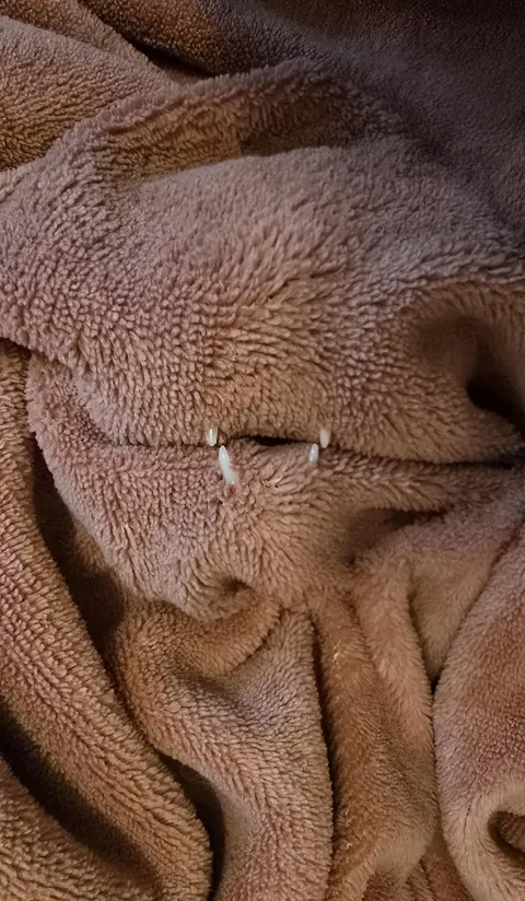 A lil monster was tryna bite my fingers