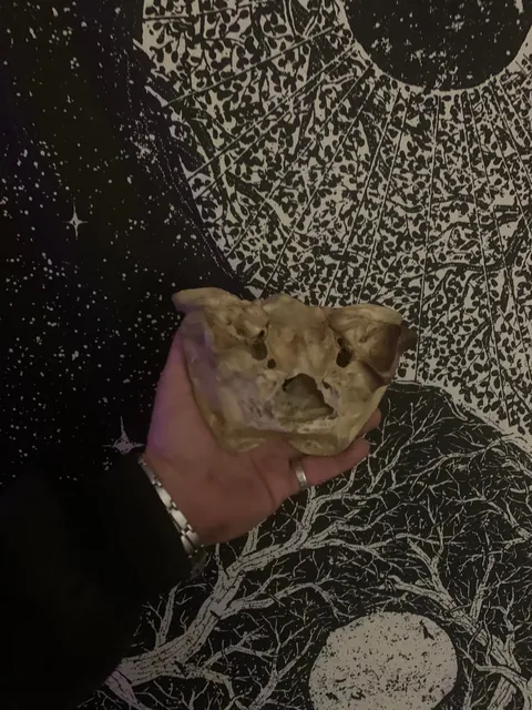 Somebody put this on the hood of my dads jeep