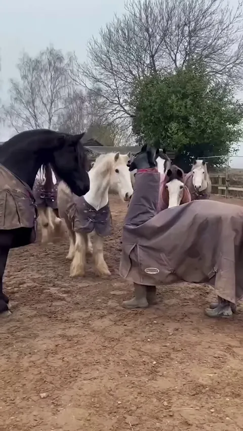 Fake horse trying to mingle with real horses