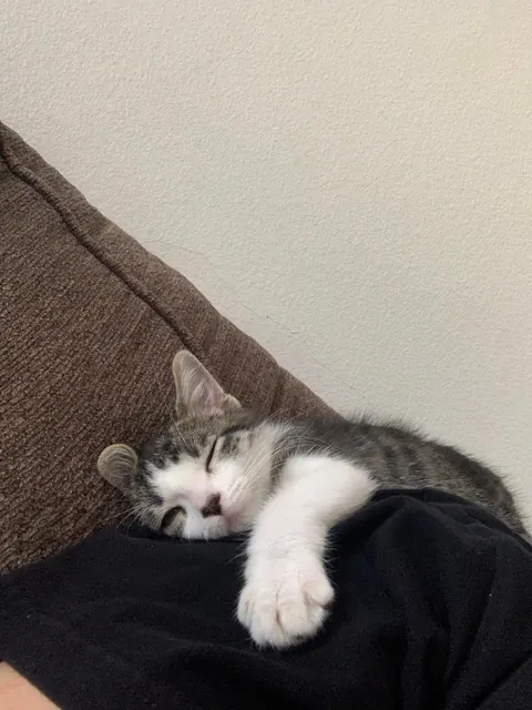 When my car was a lil guy! Now he is a big guy