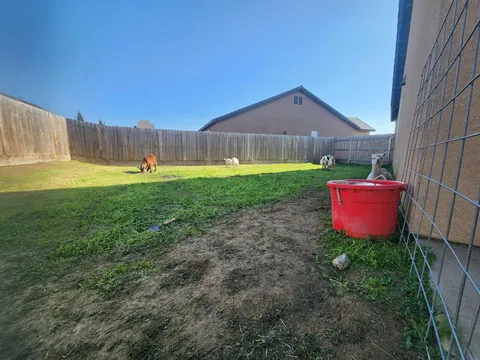 UPDATE: Stinging nettle everywhere! (I hired GOATS!)