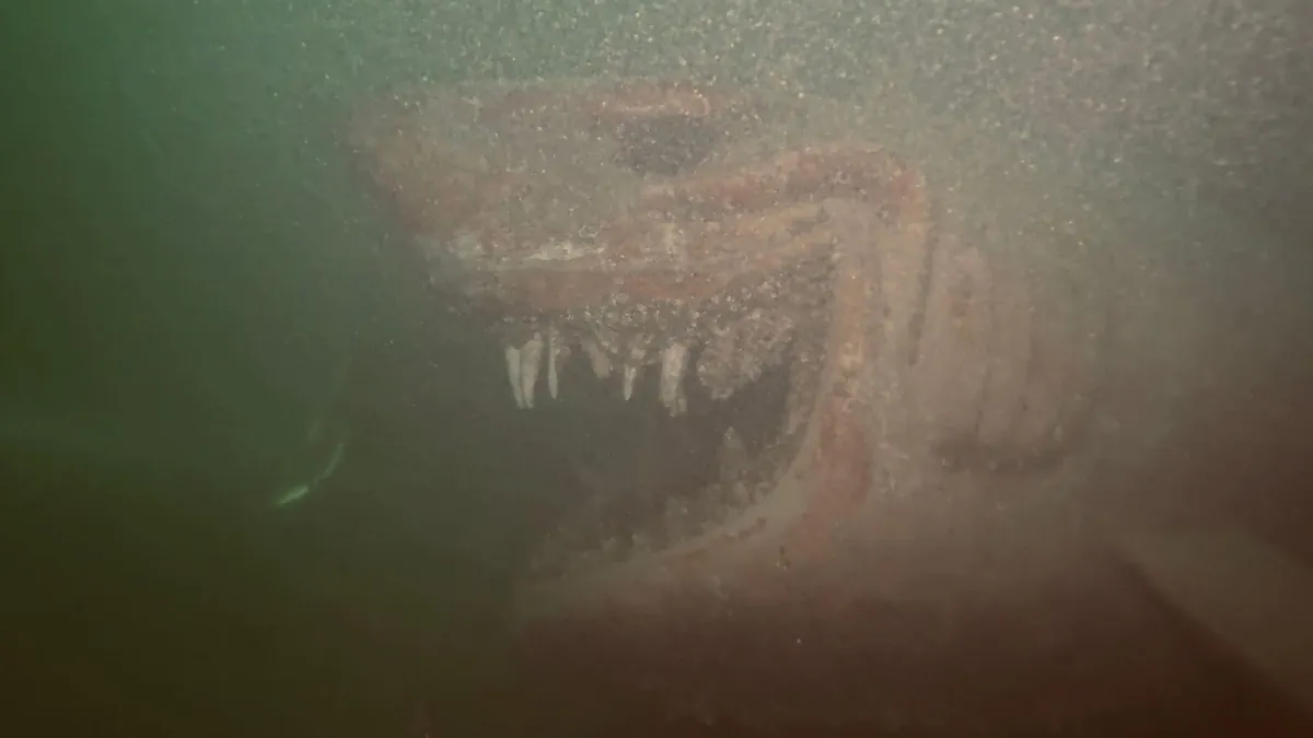 There’s a horrifying shark statue at the bottom of Lake Neuchâtel in Switzerland.