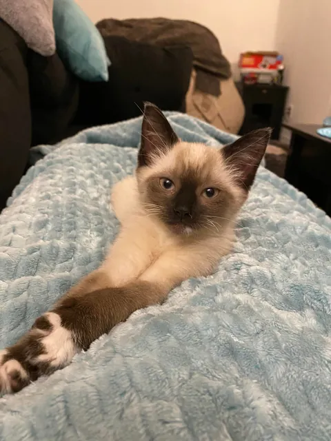 I didn’t know it would be our last day together