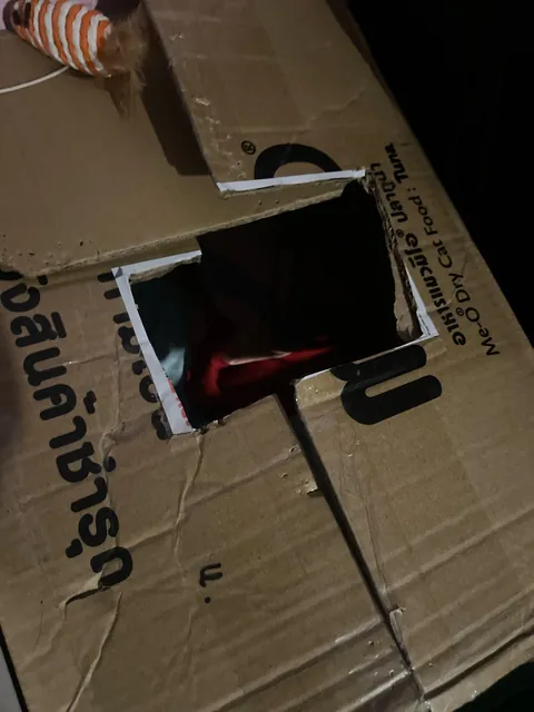 How to make my cat sleep on his own bed?