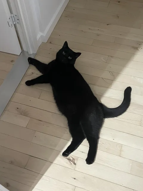 I just want to squeeze those fat lil’ thighs (and I do!)