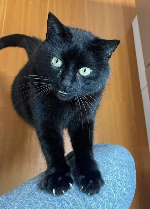 Made a new friend today at work