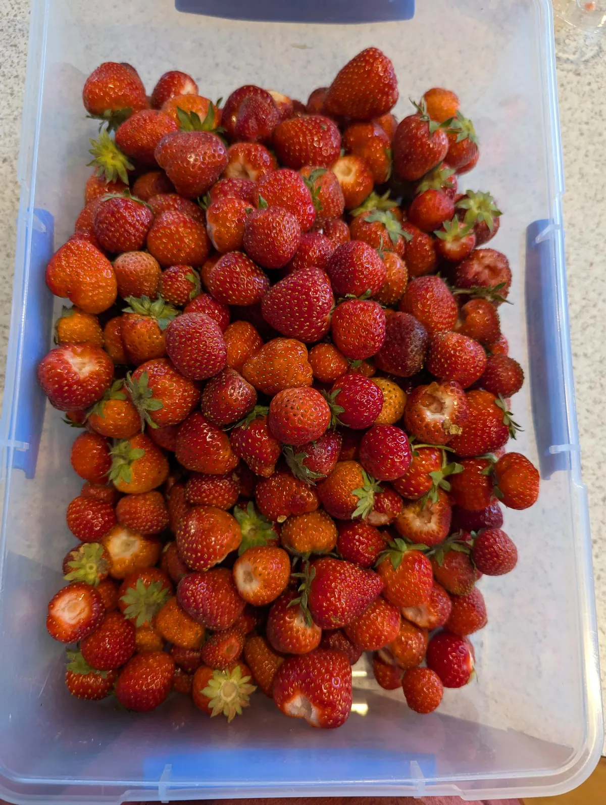 The strawberry pyramid 
