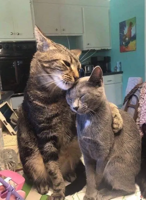 We a have something to learn from them