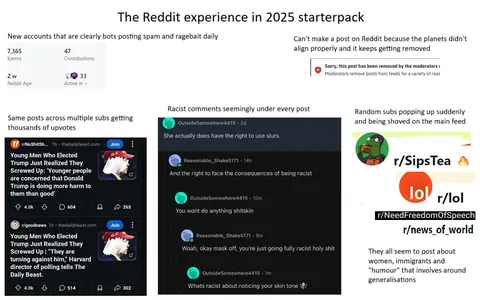 The Reddit experience in 2025 starter pack