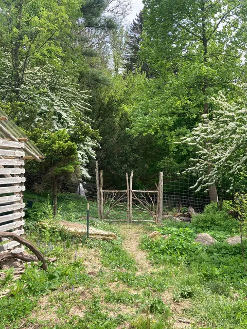 Some garden gate inspiration for winter