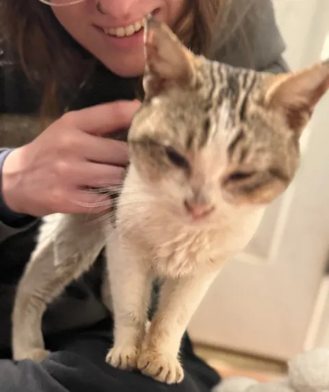 Found this girl shivering and unable to walk at a gas station 🥺