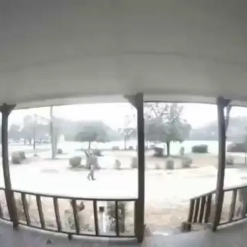 Guard rooster doing his thing. Not OC but I laughed.