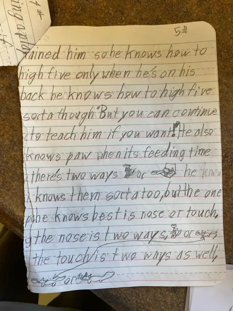 This Letter from a Child Surrendering Their Cat Broke Me Today