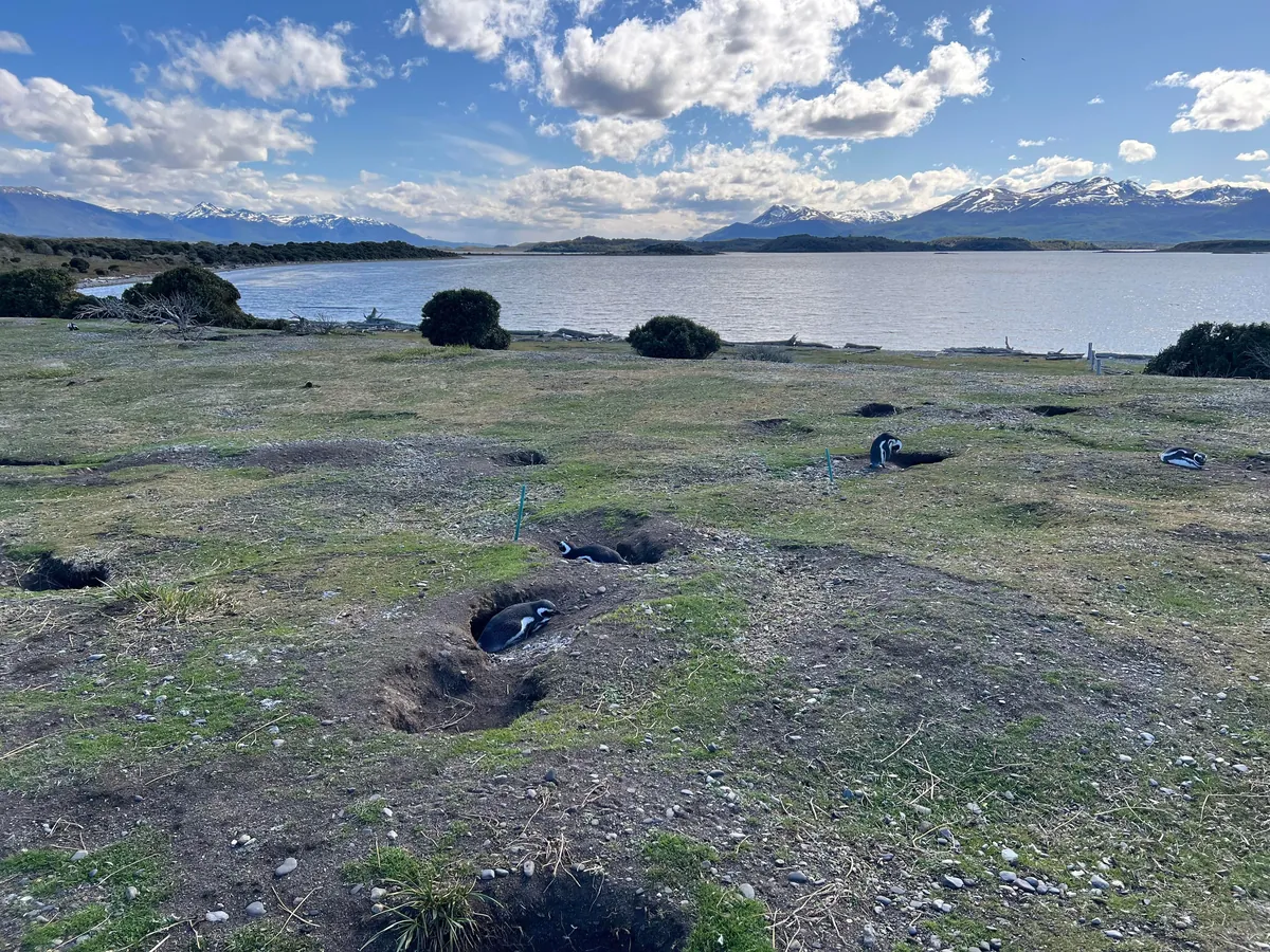 2 Weeks in Argentina - A Synopsis to Help Others