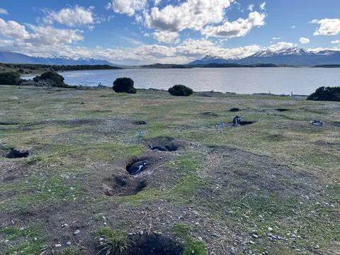 2 Weeks in Argentina - A Synopsis to Help Others