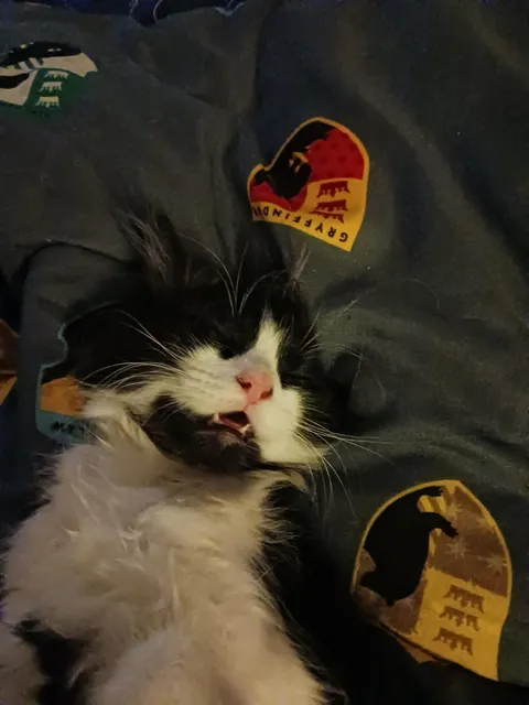 She might have a favourite sleeping position