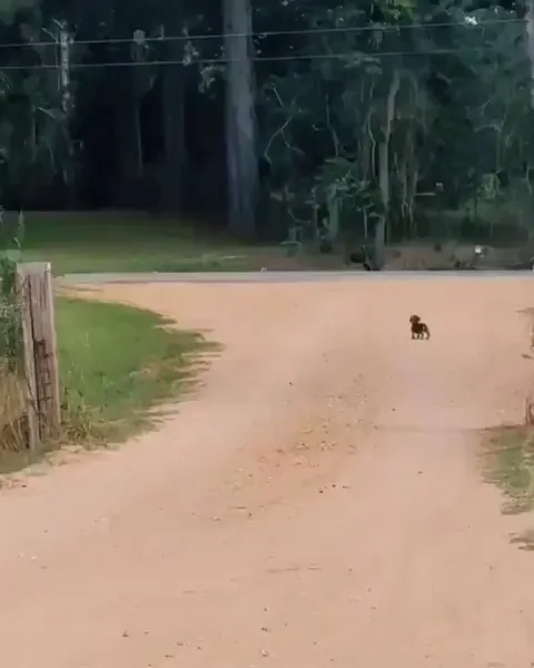 Being welcomed like this is priceless