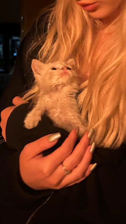 Found my soul cat on vacation with no way to take him home