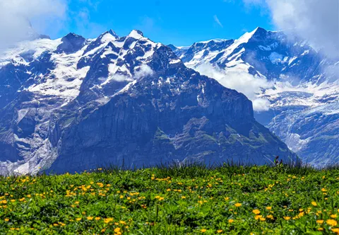 Grindelwald, Switzerland [4000X6000] [OC]