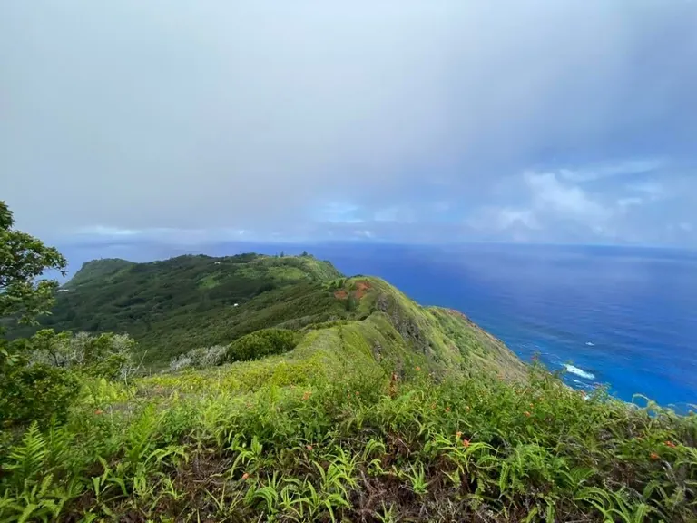 Visiting Pitcairn island