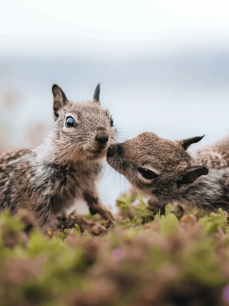 Photographer Shows His POV vs The Photos He Takes.
