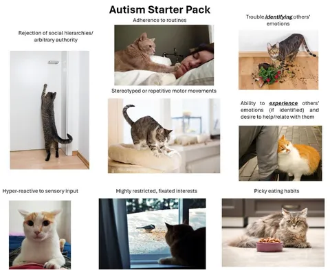 Autism Starter Pack