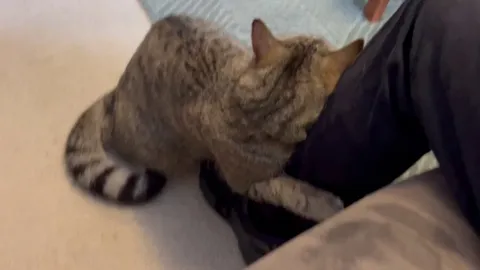 Went on a 3 day trip, I think someone missed me