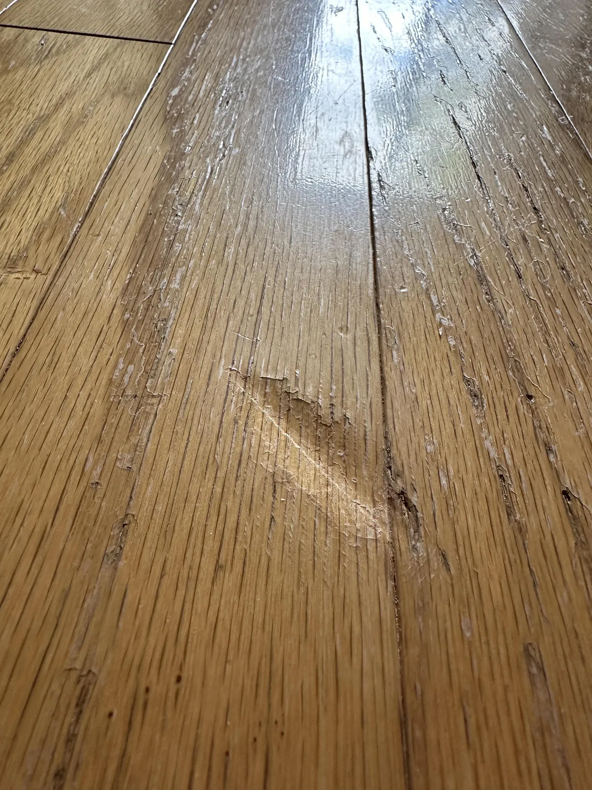 Dented hardwood floor. What are my options? I tried an iron to lift it but no luck.