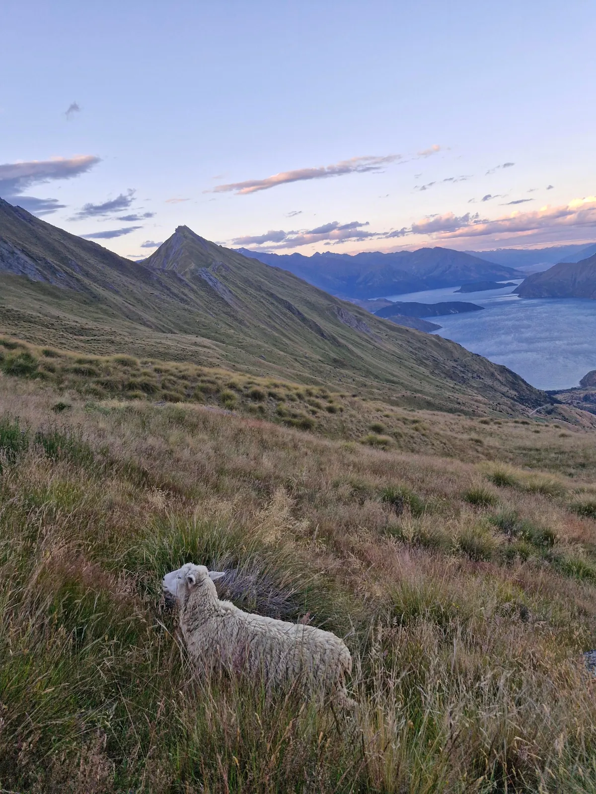 Short &amp; Sweet one week trip to New Zealand 