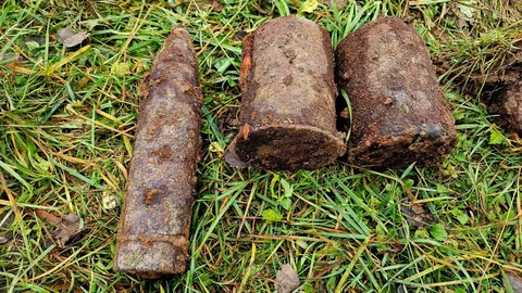 Father and son’s metal detecting trip uncovers historic World War II artillery cache in Czech forest
