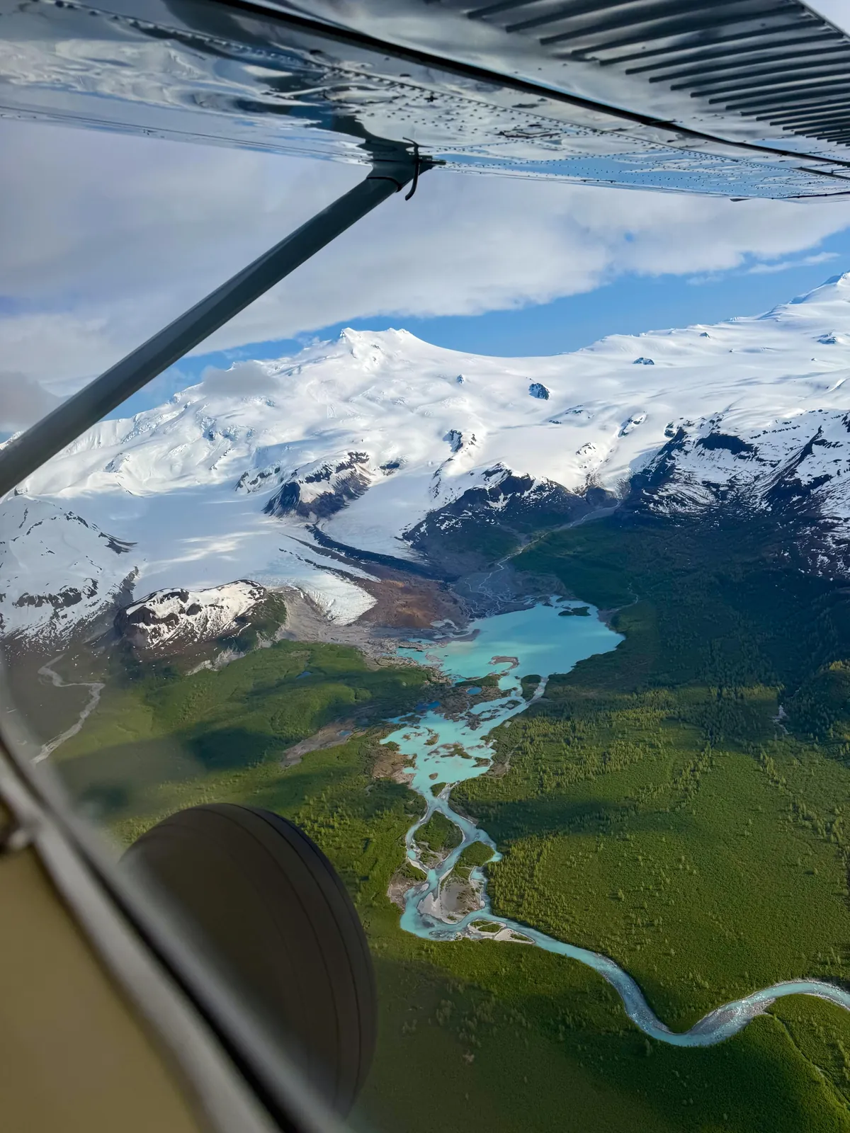 Bears and views in Alaska, June 2025