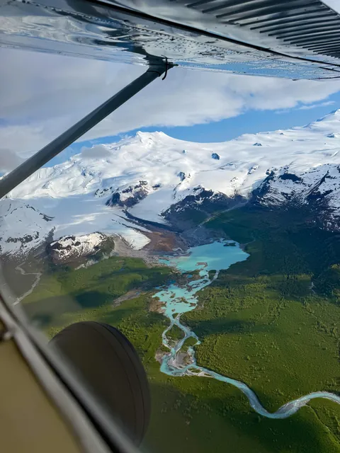 Bears and views in Alaska, June 2025