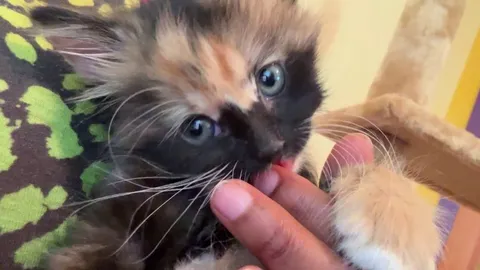 My sweet little foster baby