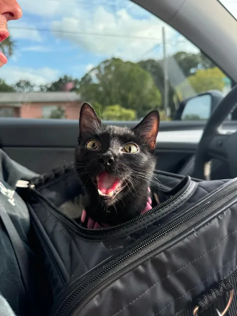 It’s my adopted baby’s first (estimated) birthday!